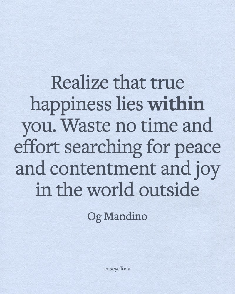 realize that true happiness lies within you inspiration